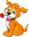 Cartoon cute dog biting a flower on white background Royalty Free Stock Photo