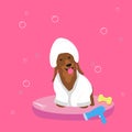 Grooming or spa for dogs.Cute dog character.