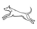 jumping dog line art, sports doggy, runner dog, healthy dog Royalty Free Stock Photo