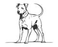 illustration of a dog, stray dog in the streets, line art doggy, pencil art, golden retriever Royalty Free Stock Photo