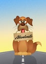 Dog abandoned on road Royalty Free Stock Photo