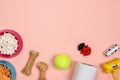 Dog accessories, food and toy on pink background. Flat lay. Top Royalty Free Stock Photo