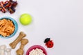 Dog accessories, food and toy on white background. Flat lay. Top view. Royalty Free Stock Photo