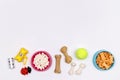 Dog accessories, food and toy on white background. Flat lay. Top Royalty Free Stock Photo