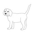 Dog adult antistress or children coloring page. Royalty Free Stock Photo
