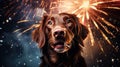 The dog is afraid of fireworks. Overcoming anxiety in dogs. Use of headphones. Calming CBD.