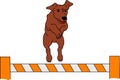 Dog agility