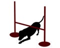 Dog agility: dog creeping