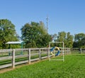 Dog Agility Equipment Royalty Free Stock Photo