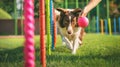 The dog agility training.AI generated image Royalty Free Stock Photo