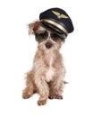Dog Airplane Pilot Royalty Free Stock Photo