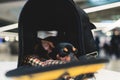 Dog in the airport hall before the flight, near luggage suitcase baggage, concept of travelling moving with pets, small black dog Royalty Free Stock Photo