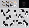 Dog Akita Black Coat Cartoon Vector Illustration Color Variation Set