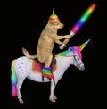 Dog alien rides the unicorn 2