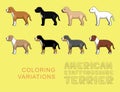 Dog American Stafforshire Terrier Coloring Variations Vector Illustration Royalty Free Stock Photo
