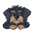 Dog anger emotion, color cartoon vector Royalty Free Stock Photo