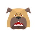 Dog angry emoji. Pet evil emotions avatar. bulldog aggressive. V Royalty Free Stock Photo