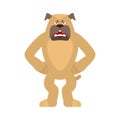 Dog angry. Pet evil emoji avatar. bulldog aggressive. Vector ill Royalty Free Stock Photo