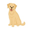 Adorable sitting golden retriever puppy icon vector