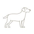 Dog. Animal pets. Labrador retriever. White icon. Outline contour line vector illustration