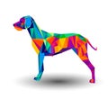 Dog animal puppy pet vector graphic