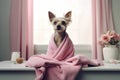 Dog animal small puppy hygiene wet pet cute funny adorable Royalty Free Stock Photo