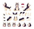 Dog animation. Cute cartoon pet motion set with moving body parts, happy puppy different postures. Vector collection of