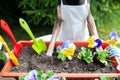 Dog in an apron, surrounded by flowers and garden tools, an image of a gardener, a grower. The concept of spring planting