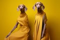 dog art animal fashion pet colourful funny stylish concept latex. Generative AI.