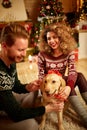 Dog as Christmas gift Royalty Free Stock Photo