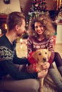 Dog as Christmas gift Royalty Free Stock Photo