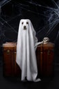 the dog as a ghost for Halloween sits on the chest. Festive mood, scary and eerie. Jack russell terrier in costume