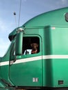 The Dog As Truck Driver Royalty Free Stock Photo