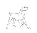 Dog asking, lines, vector