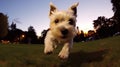 a dog attempting to catch treats in mid-air but hilariously missing ,AI-Generated Royalty Free Stock Photo