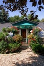 Dog baby house with flowers Royalty Free Stock Photo