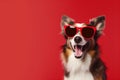 dog background concept portrait cute funny smile pet sunglasses animal. Generative AI.