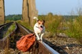 Dog balancing on train track with vintage backpack on ground Royalty Free Stock Photo