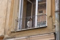 Dog on the balcony,At the old house the dog looked out of the balcony