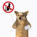 Dog with bandaged paw holds cat prohibition sign