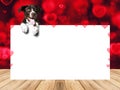 Dog with banner and hearts Valentines background Royalty Free Stock Photo