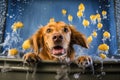 dog bath time with shampoo bubbles and rubber duck Royalty Free Stock Photo