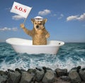 Dog in the bathtub on the sea 2 Royalty Free Stock Photo