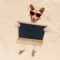 Dog at the beach and banner Royalty Free Stock Photo