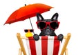 Dog beach chair in summer