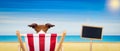 Dog beach chair in summer Royalty Free Stock Photo