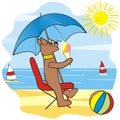 Dog on beach, funny vector illustration