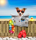Dog on beach on summer vacation holidays Royalty Free Stock Photo