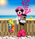 Dog on beach on summer vacation holidays Royalty Free Stock Photo