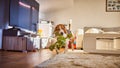 Dog beagle fetching a green rope indoors
